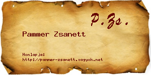 Pammer Zsanett névjegykártya